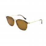 Γυαλιά Ηλίου Ray Ban 2448-N 710